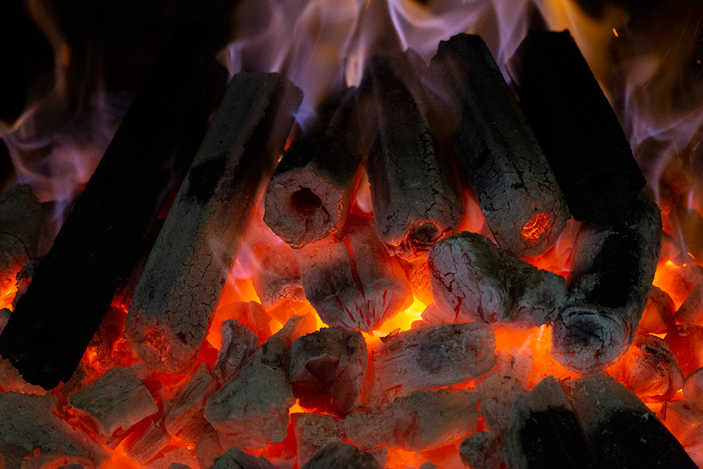 Josper 301001 briquette charbon hexagonale pro