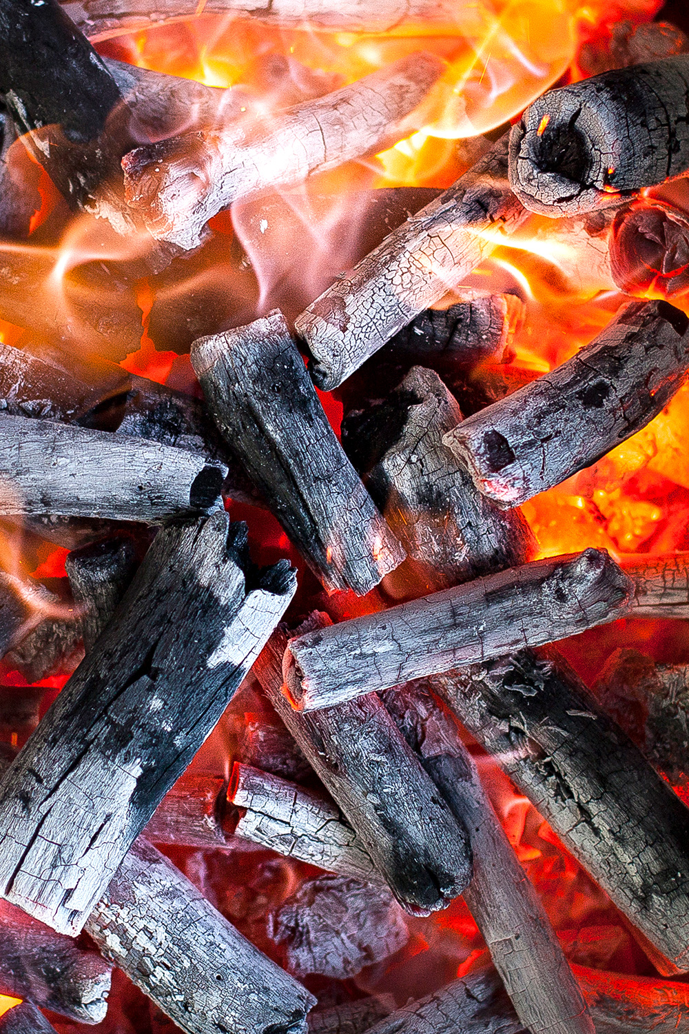 Josper Marabu charbon de bois four professionnel