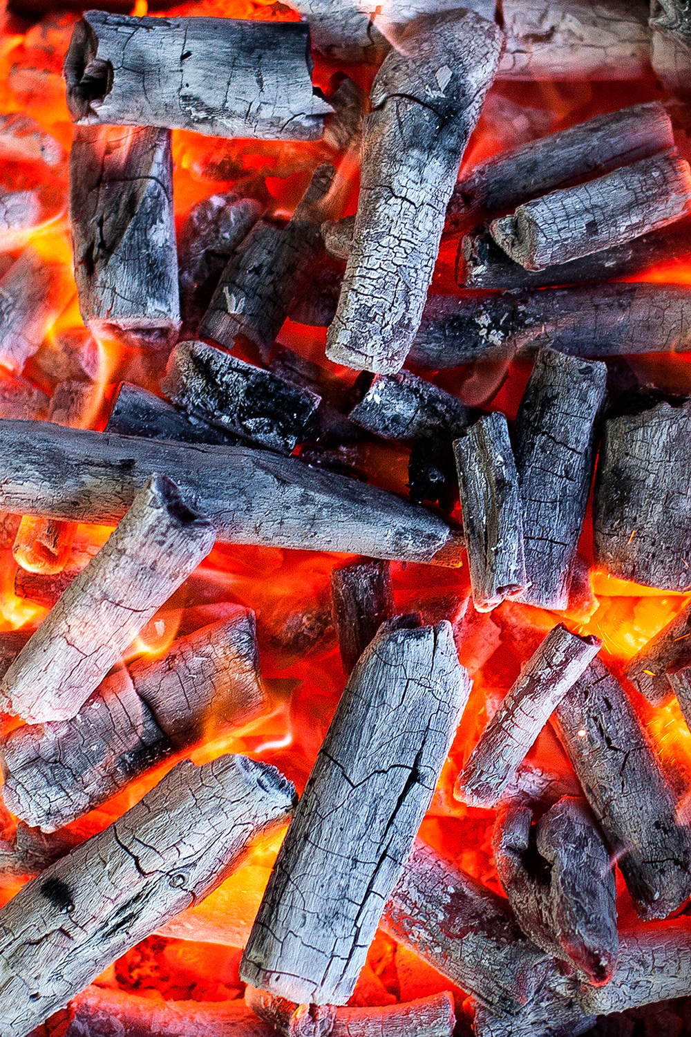 Josper Marabu charbon de bois four professionnel