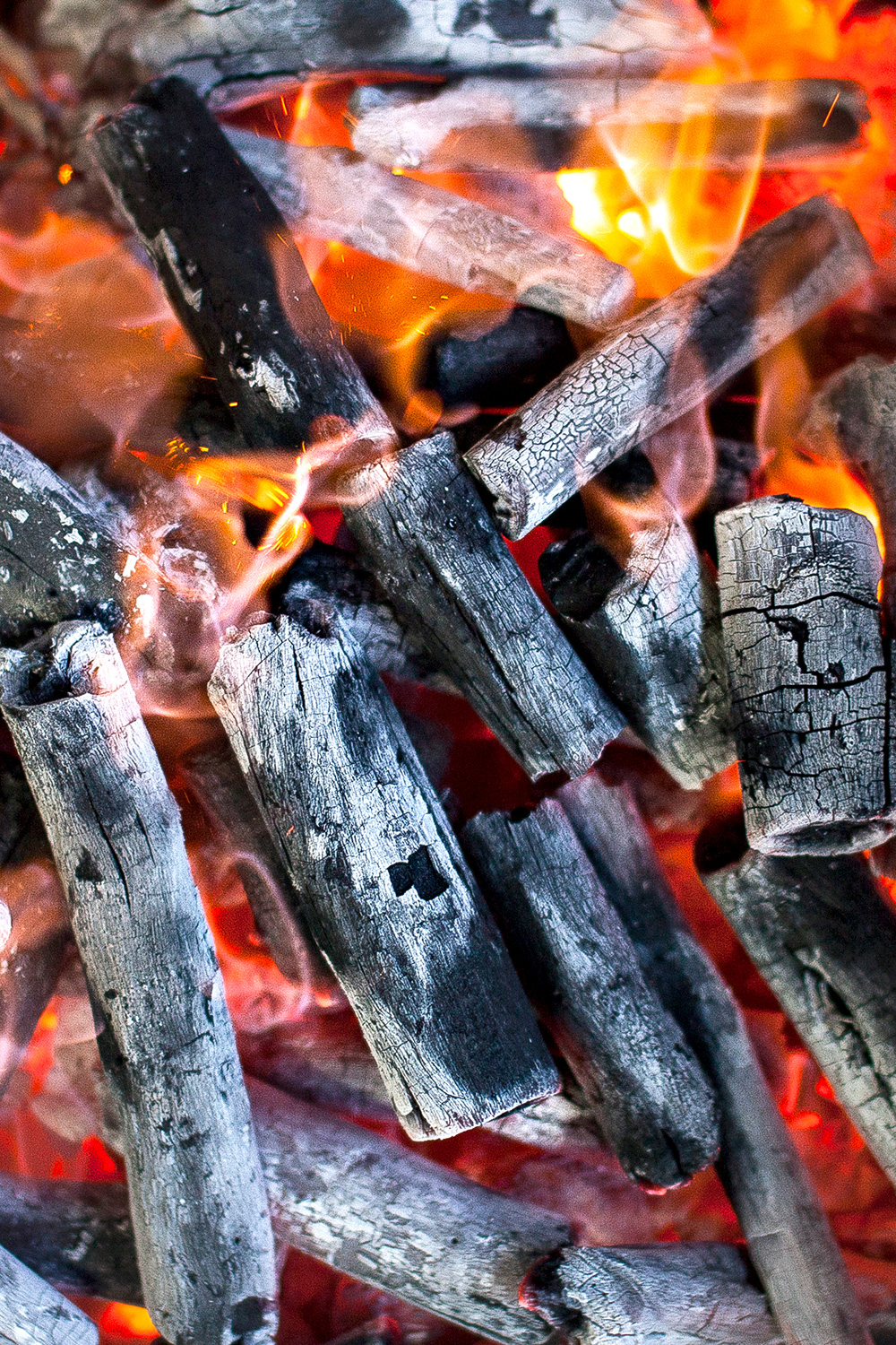 Josper Marabu charbon de bois four professionnel