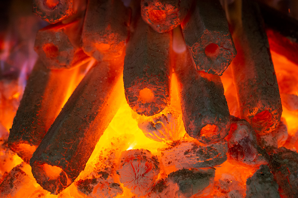 Josper 301001 briquette charbon hexagonale pro